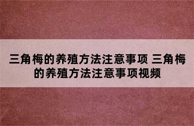 三角梅的养殖方法注意事项 三角梅的养殖方法注意事项视频